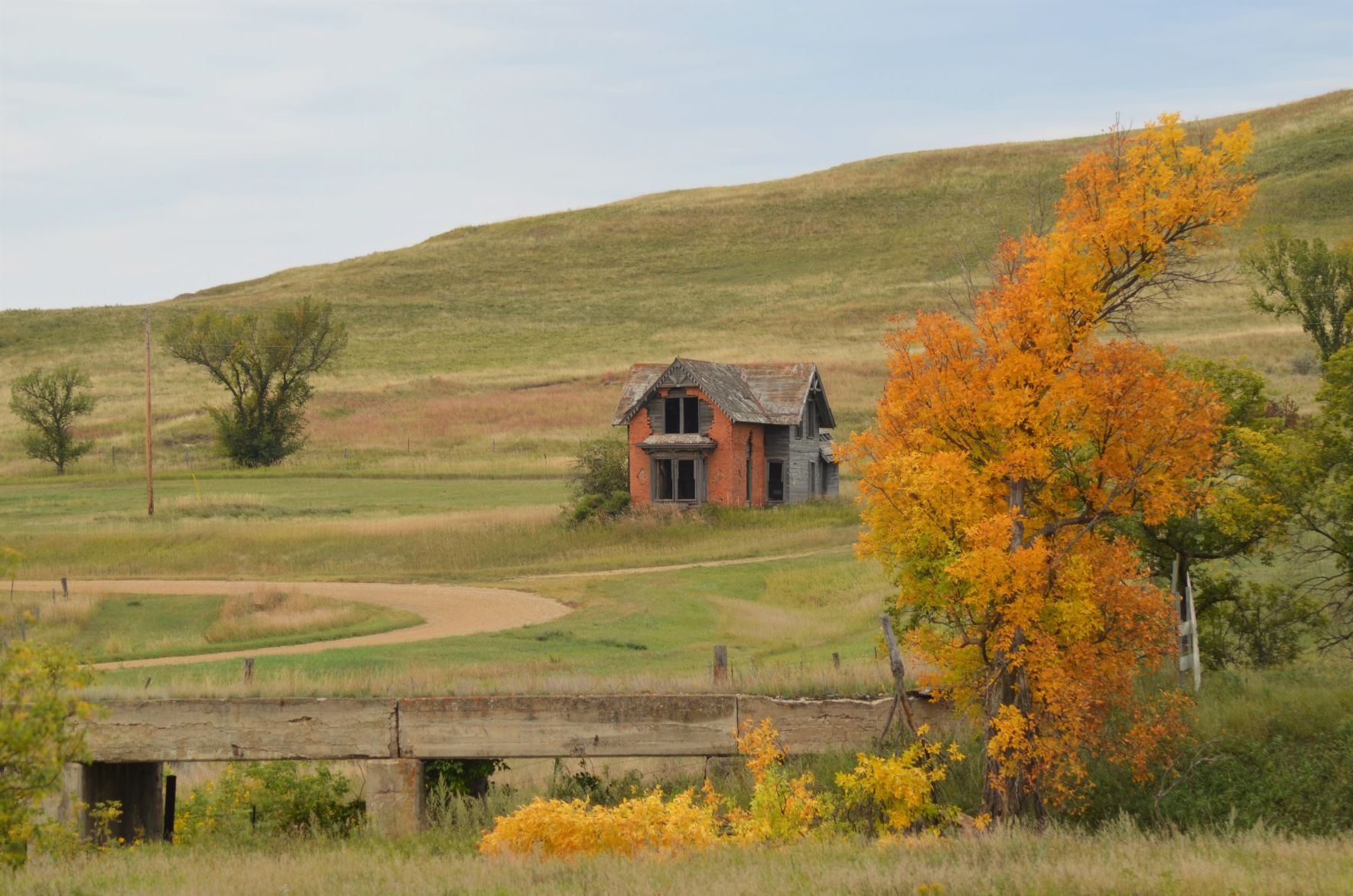 Color on the prairie